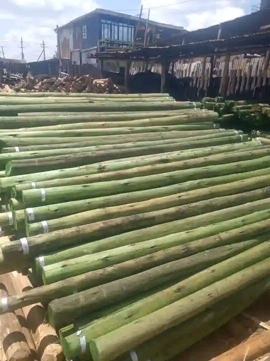 Fencing Post